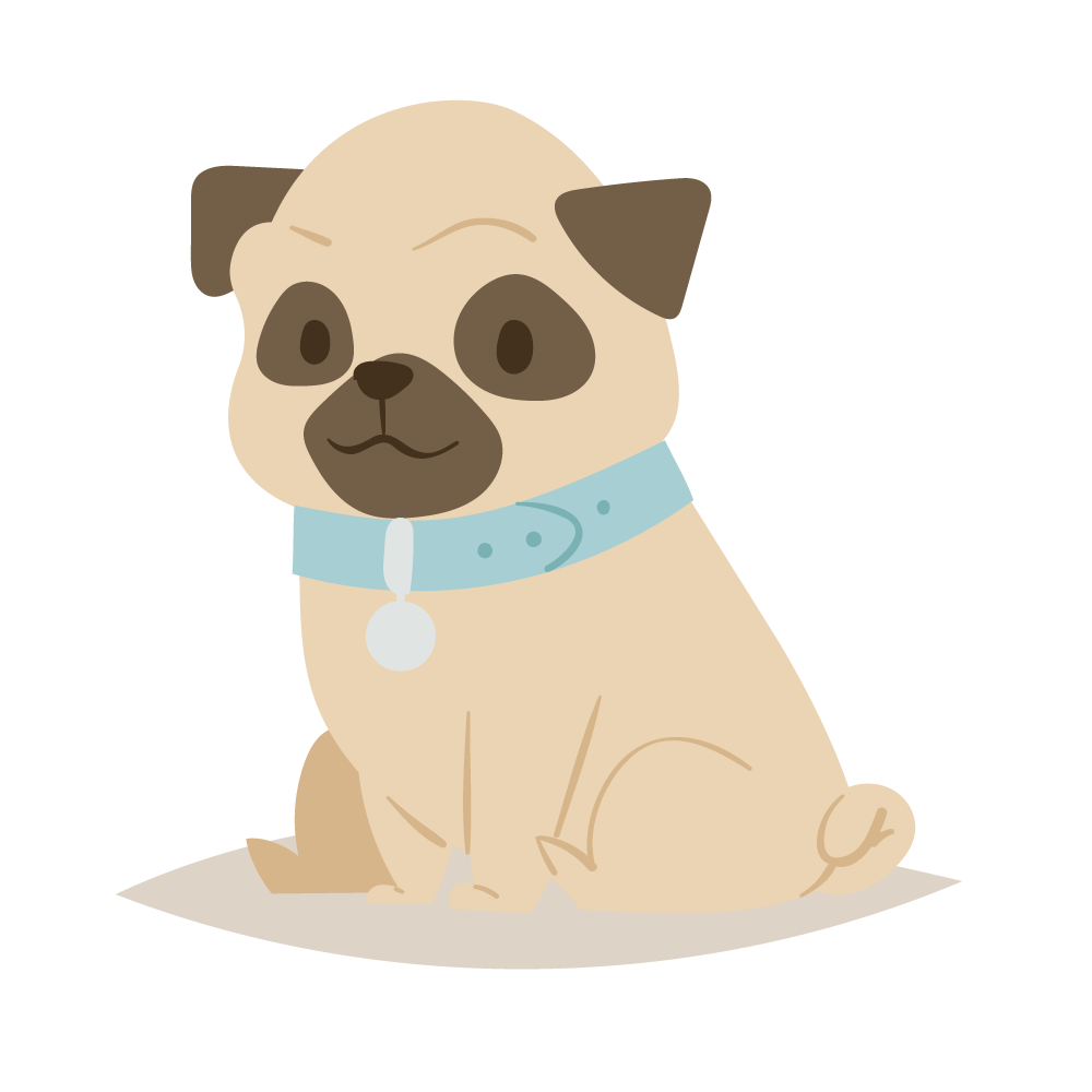 chien-dessin