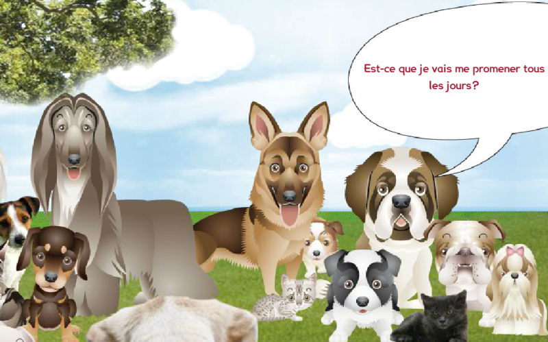 bd-animaux-6