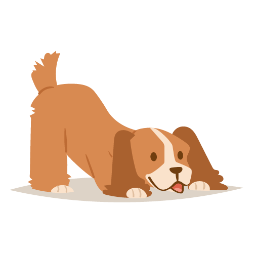 chien-veut-jouer