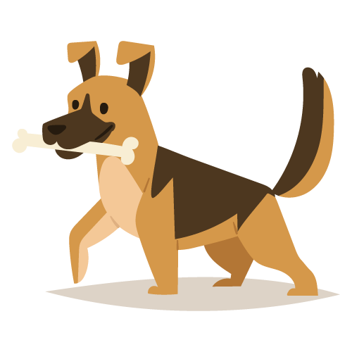 chien-avec-os