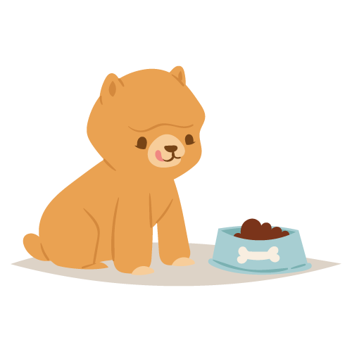 chein-faim