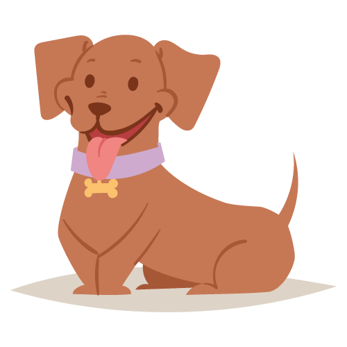 chien-sourire