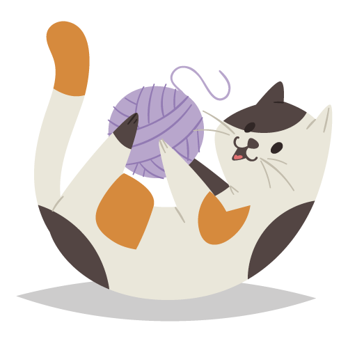 chat-jouer