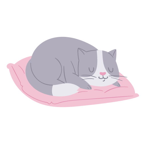 chat-endormi