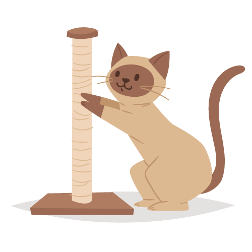 chat-gratter