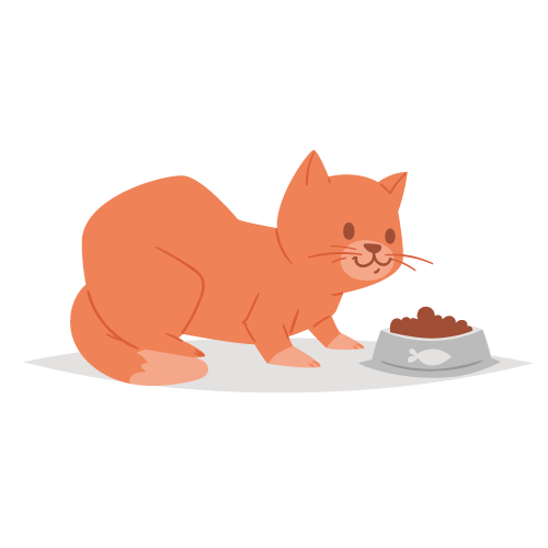 chat-manger