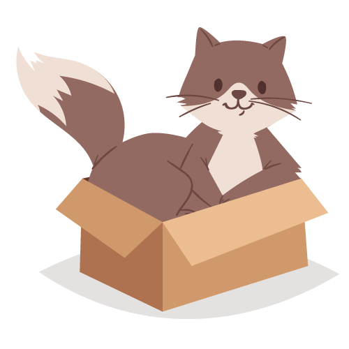 chat-boite